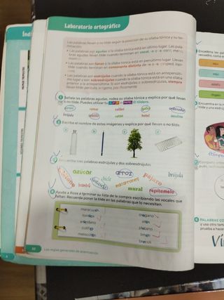 Lengua castellana y Literatura 6 primaria,