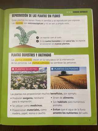 Saberes Básicos Naturales Aragón 2 primaria Edelvi