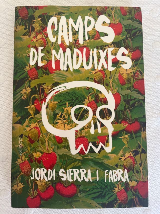 Camps de maduixes
