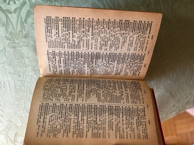 Diccionario Francés/ Español