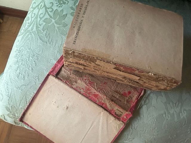 Diccionario Francés/ Español