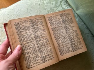 Diccionario Francés/ Español