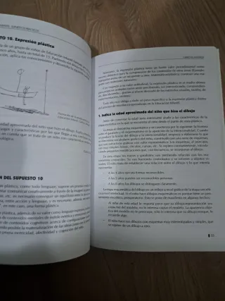 Cuerpo de maestros, Educación Infantil. Program...