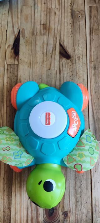 Tortuga Juguete Fisher Price