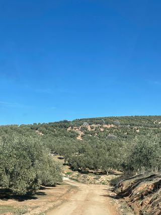 Terreno en Cogollos Vega - 3.500m²
