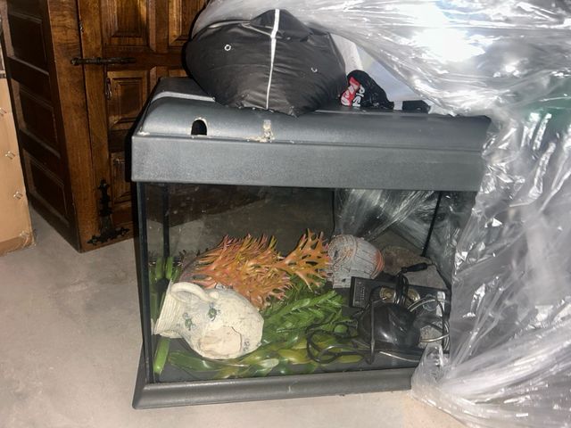 Pecera con accesorios