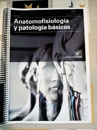 Anatomofisiologia