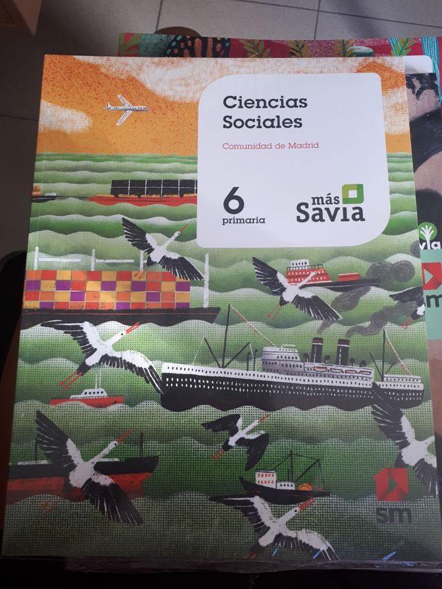 Ciencias sociales. 6 Primaria. Mas Savia. Madrid