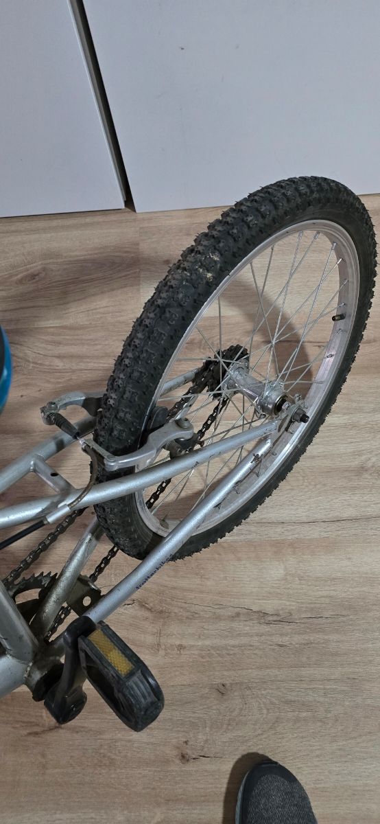 Bicicleta infantil Trotter talla 20