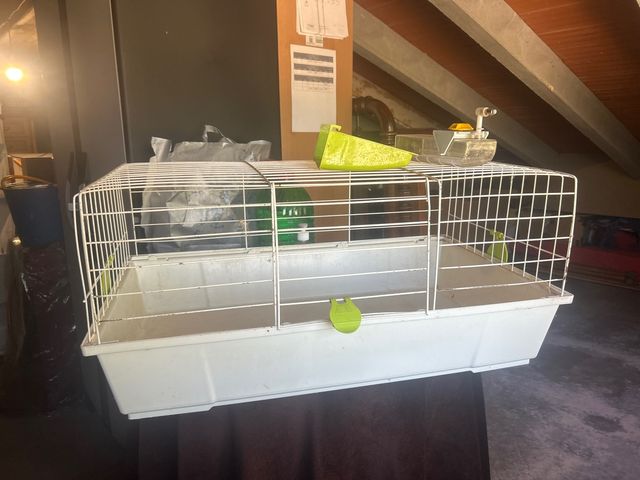 Jaula para conejo