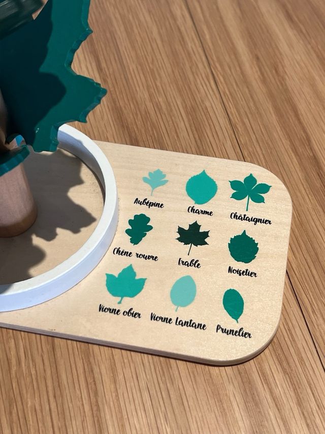 Árbol de lluvia Nature et découvertes