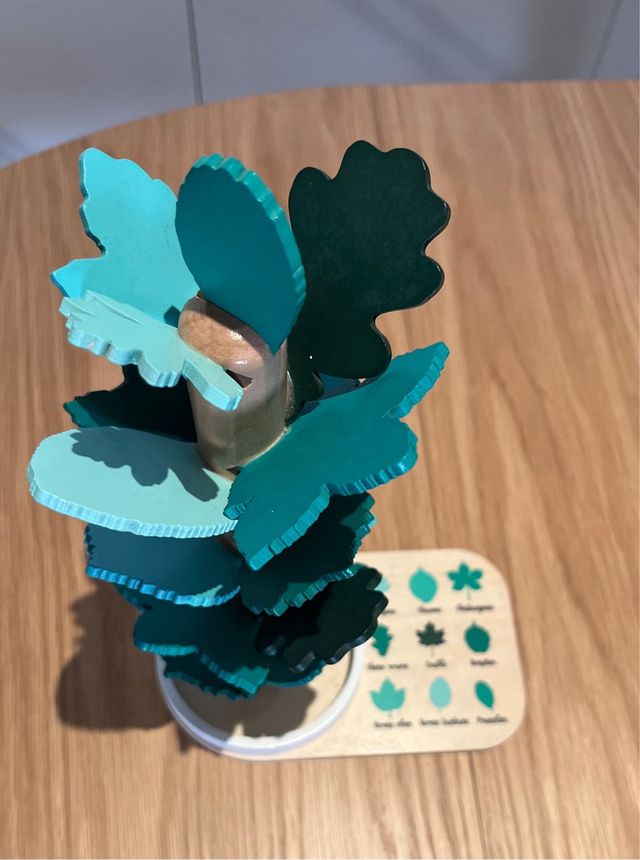 Árbol de lluvia Nature et découvertes