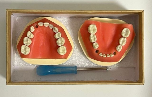 Tipodonto Odontopediatría  
Muy buen estado.