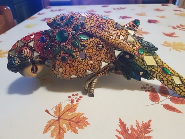 Pappagallo Decorativo da Parete