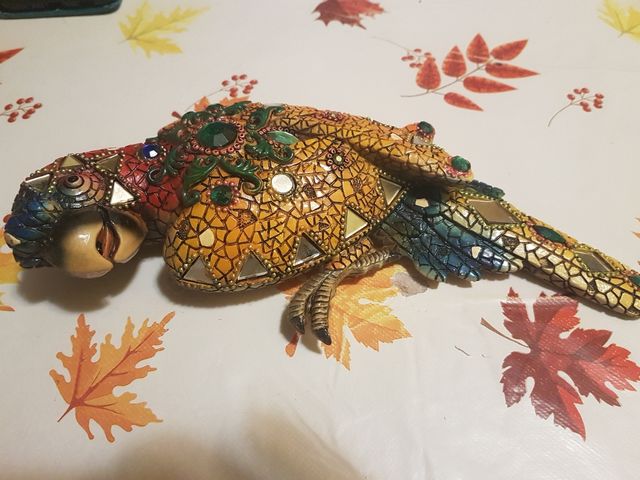 Pappagallo Decorativo da Parete