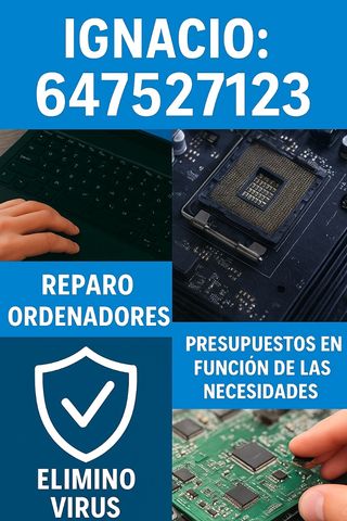 Técnico Informático