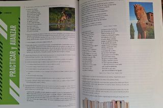 Proyecto: FanFest - Lengua Castellana y Literat...