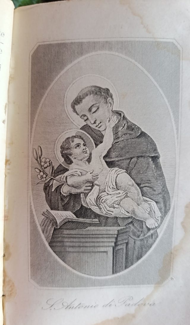 Antico libro L'ameno Sentiero