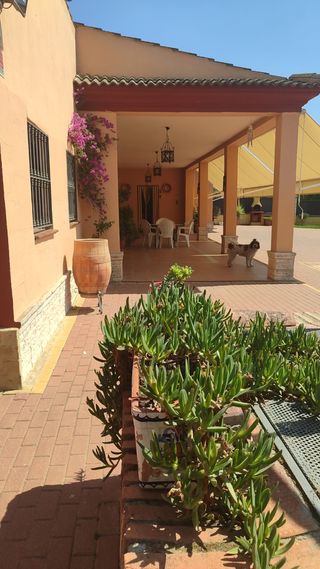 Chalet con piscina,Con parcela de 1,500 m.