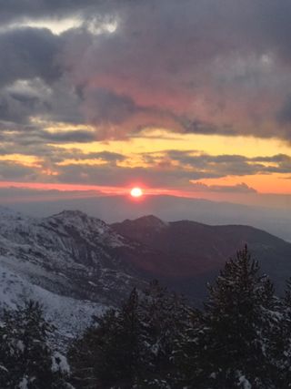 Ofrezco mis servicios de limpieza de todo tipo