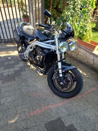 Triumph Daytona Speed triple 98