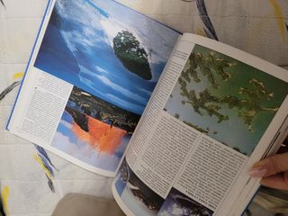 enciclopedia  scoprire