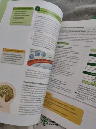 Biología Y Geología: Biología Y Geología, 3 Eso