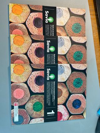 Matemáticas. 1 ESO. Savia