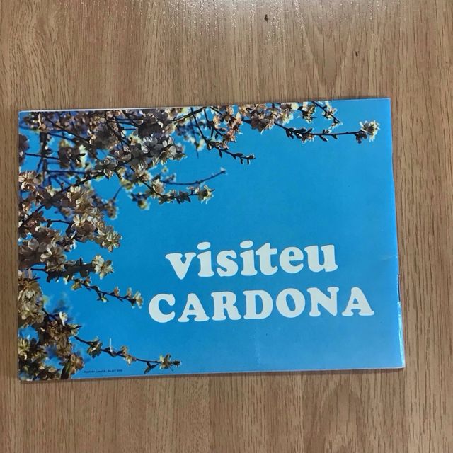 Festa Major de Cardona 1974, Vila Ducal