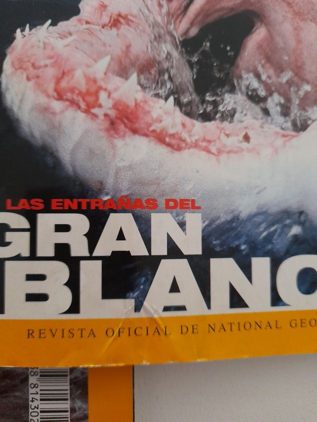 Lote 5 revistas de National Geographic antigüas