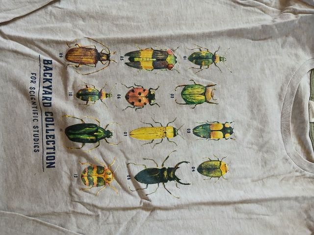 2 Camisolas Manga Comprida 13/14 Anos