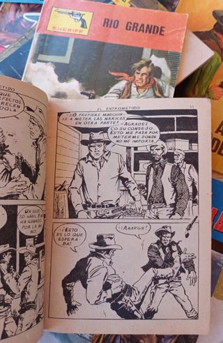 Comic Novelas del Oeste Lote de 19 ejemplares.