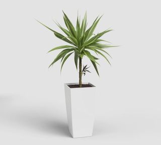 Maceta Artevasi blanca 78cm