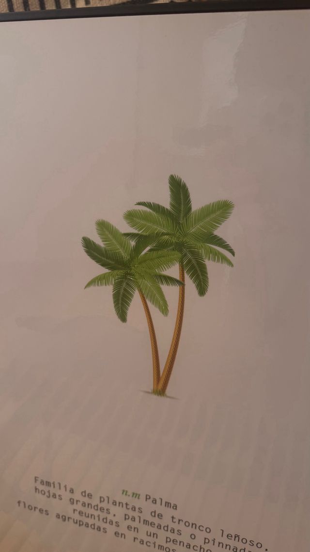 Quadro decorativo con palma tropicale