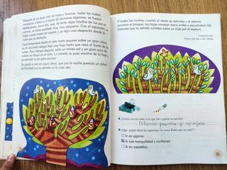 LECTURAS 2 PRIMARIA EL REGALO DE CUMPLEAÑOS ED. SM