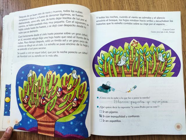 LECTURAS 2 PRIMARIA EL REGALO DE CUMPLEAÑOS ED. SM