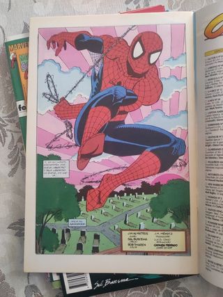 Spiderman el niño que llevas dentro