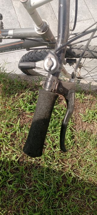 Bicicleta de Montaña