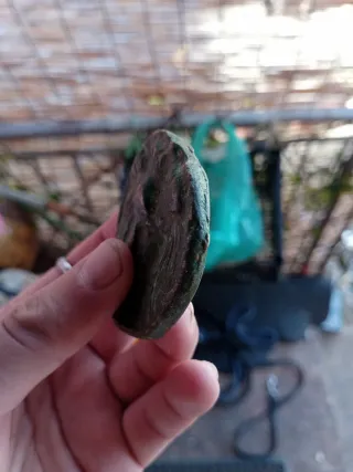 Moneta Romana Stile Minerva/Toro