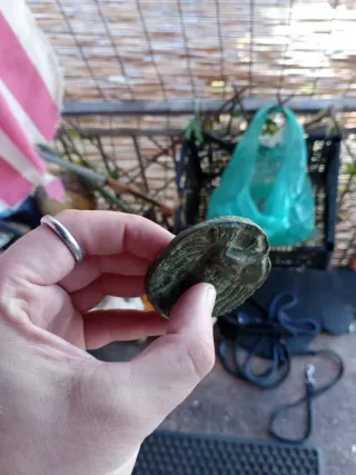 Moneta Romana Stile Minerva/Toro