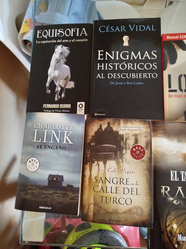 Lote de 4 libros: Equisofia, Enigmas Históricos, E