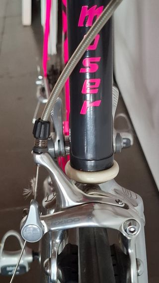 Bicicleta Francesco Moser Clásica