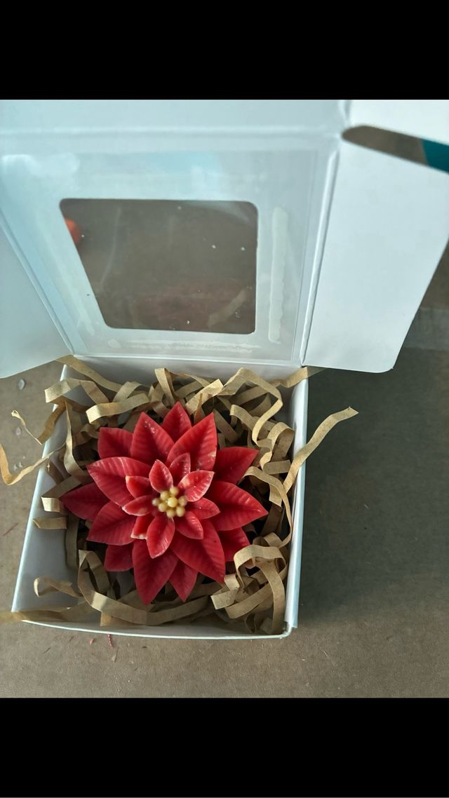 Candele natalizie  1€ con confezione  0,60 semplic