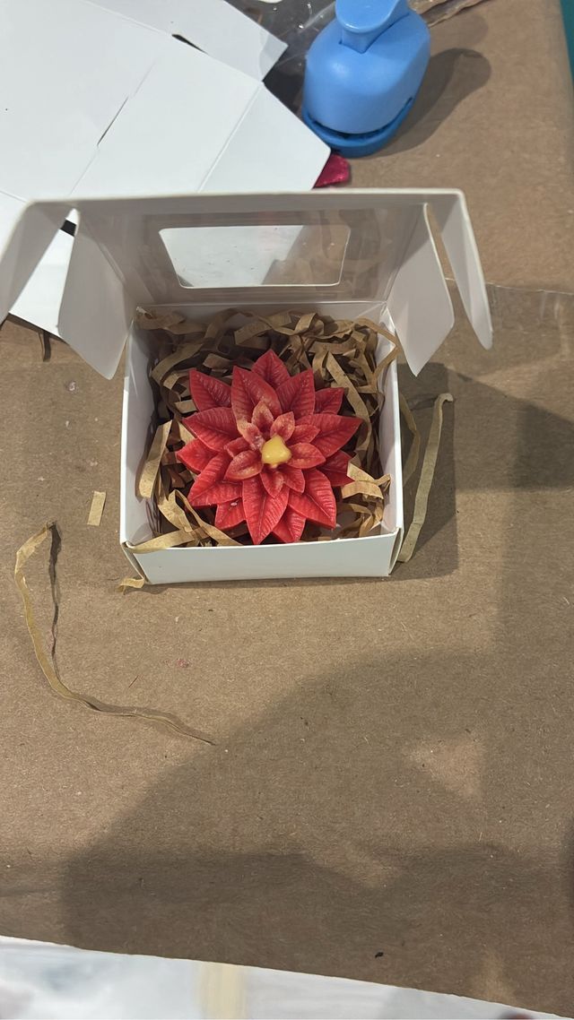 Candele natalizie  1€ con confezione  0,60 semplic