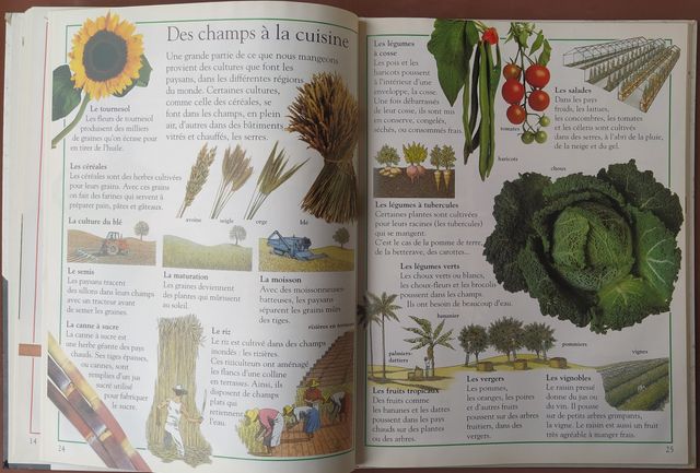 Ma premiere encyclopédie nathan