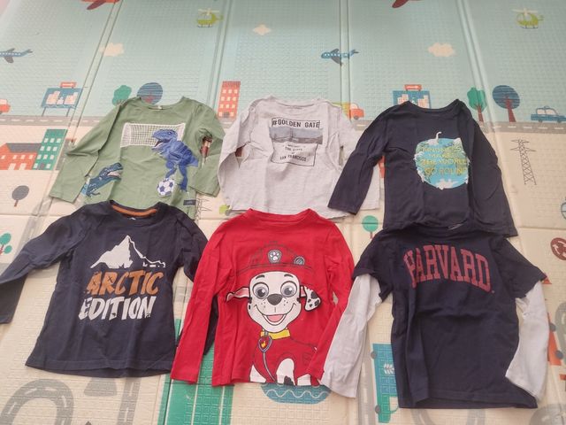 Lote Ropa Niño Talla 110