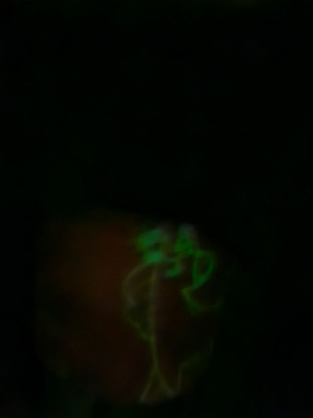 Manta Kasa Brilha no Escuro 125x150cm