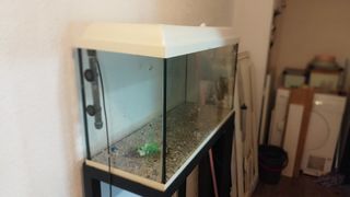 Pecera grande con accesorios