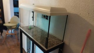 Pecera grande con accesorios