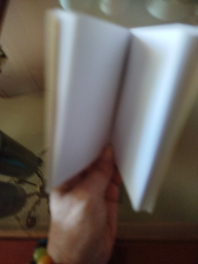 Agenda de bolso con bolígrafo Al 11 An 10 F 1